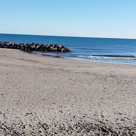 Apartment La Terrasse Des Voiliers *