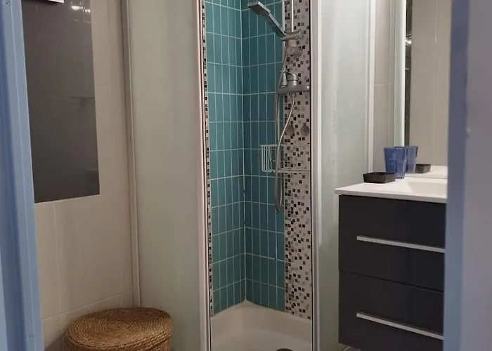 La Terrasse Des Voiliers Apartment *